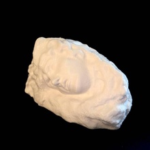 head medusa scan woman 3d print model - Mito3D