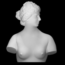 bust medici venus scan woman 3d print model - Mito3D