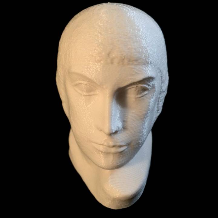 Kopf Scan 3D print model - Mito3D