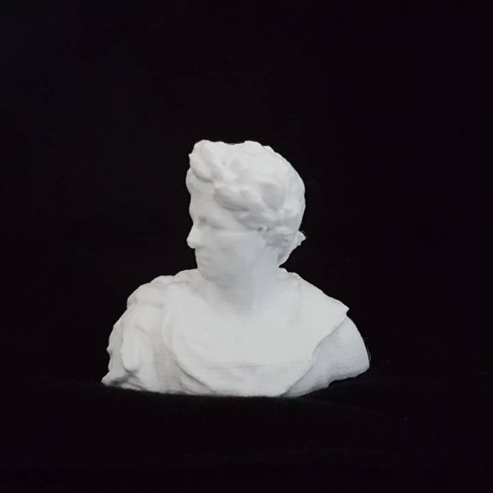 julius caesar fragment scan bust man 3D print model - Mito3D