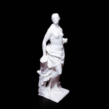 pomona analyse femme corps 3d print model - Mito3D
