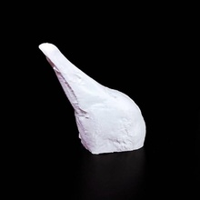 frijol ganso cabeza escanear animal pájaro 3d print model - Mito3D