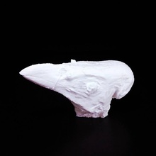 maleo head scan animal bird 3d print model - Mito3D