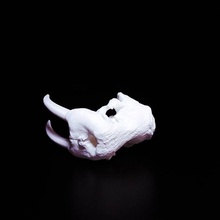 mors kafatası taramak hayvan kemikler baş ölüm 3d print model - Mito3D