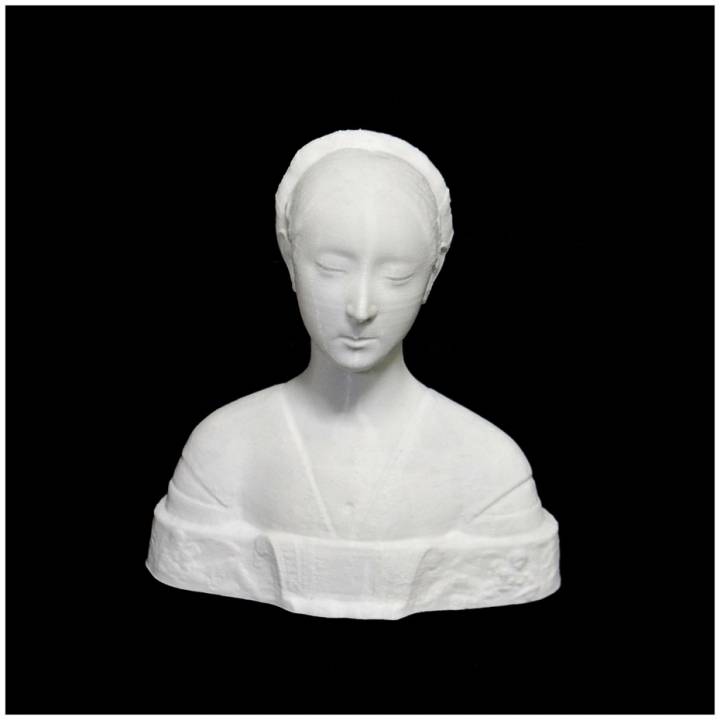 retrato Princesa Nápoles Varredura fracasso mulher 3D print model - Mito3D