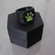 chat noir's ring jewellery cosplay dualstrusion dual extrusion noir miraculous ladybug 3d print model - Mito3D