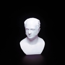 busto Alejandro escanear 3d print model - Mito3D