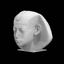 head amenes scan 3d print model - Mito3D