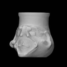 pottery vessel head emerging serpent jaws scan 3d print model - Mito3D