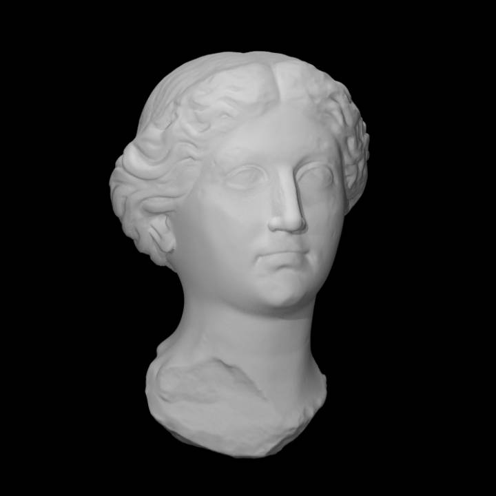 romano vida cabeça mulher nobre Livia Varredura tamanho natural 3D print model - Mito3D