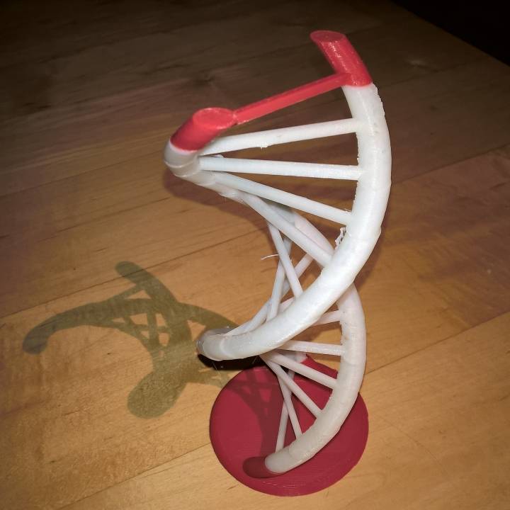 dna helix education 3D print model - Mito3D