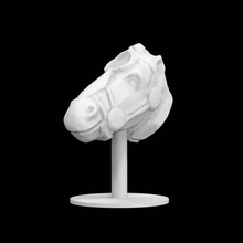 horse's head scan horse spain 3d print model - Mito3D