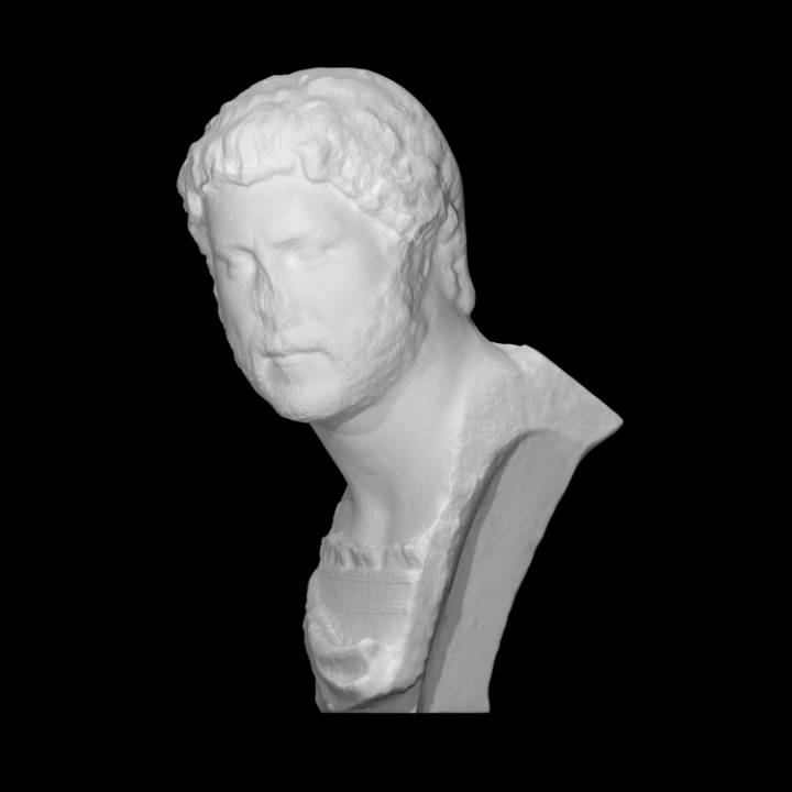 Porträt Hadrian Scan römisch 3D print model - Mito3D