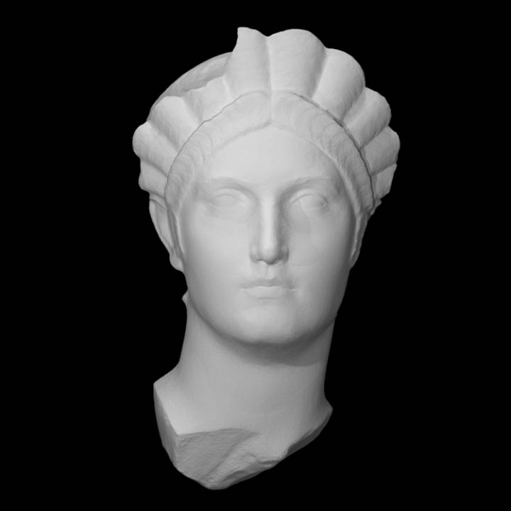 portrait matidia scan rome 3D print model - Mito3D