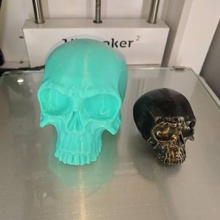 skull education stl zbrush 3dprint 3d print model - Mito3D