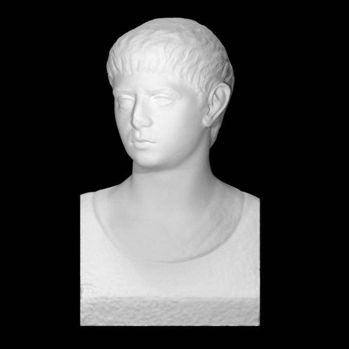 herm charioteer scan bust head 3D print model - Mito3D
