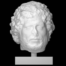 portrait barbarian scan head man 3d print model - Mito3D