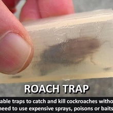 roach trapreusable trap catch kill cockroaches & garden cool animal animals awesome bug container creature easy education food insect kitchen safe school science tidy unique money household safety organisation designer clean control poison insects bugs 3d print model - Mito3D
