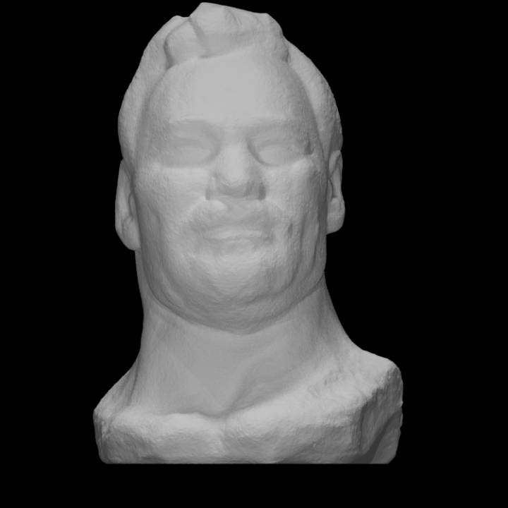 male head scan marble 3D print model - Mito3D