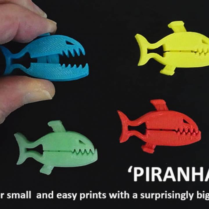 piranhaz jardin Noël titulaire soutien clé impression animal animaux dessin animé agrafe récipient papa conception facile poisson amusement drôle cadeau maison modèle film Bureau cheville espace rangement outil 3D print model - Mito3D