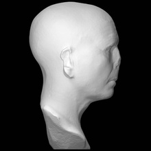 head man scan head hellenistic male 3d print model - Mito3D