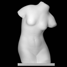 torse analyse femme 3d print model - Mito3D