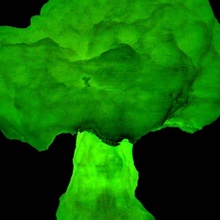 radioactive cauliflower & garden led light nuke boolean punch 2032 3d print model - Mito3D