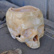 skull bowl & garden 3dpt 3d print model - Mito3D