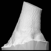 yosémite creux arbre numérisation photos analyse photogrammétrie agisoft 3d print model - Mito3D