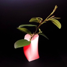 sencillo corazón florero jardín san valentin día 3d print model - Mito3D