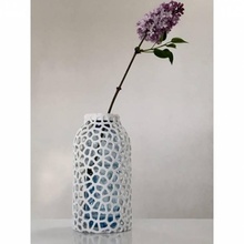 voronoi animale domestico bottiglia vaso giardino 3d print model - Mito3D