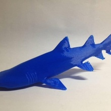 cinzento enfermeira Tubarão brinquedos jogos animal 3d print model - Mito3D