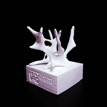Virus Garten Kunst Skulptur organisch Wachstum generativ Berechnung 3d print model - Mito3D