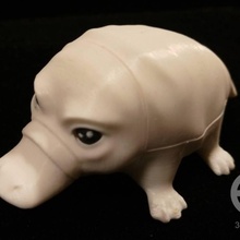 ornitorrinco brinquedos jogos animal bonecos brinquedo 3d print model - Mito3D