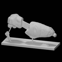 çömelme aslan taramak hayvan Yunan stil 3d print model - Mito3D