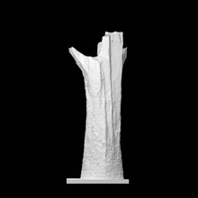 árbol escanear naturaleza 3d print model - Mito3D