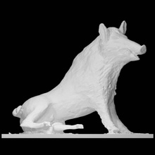 sauvage sanglier analyse animal nature corps 3d print model - Mito3D