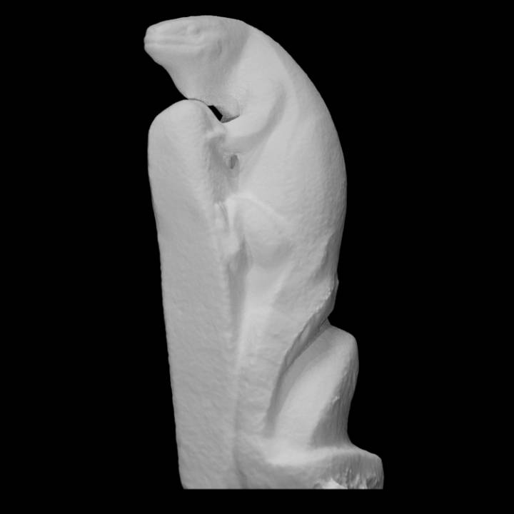 lagartija escanear animal parque 3D print model - Mito3D