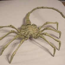 agisis ultimate alien face hugger 40in 23in - life size fan art movie props facehugger 3d print model - Mito3D