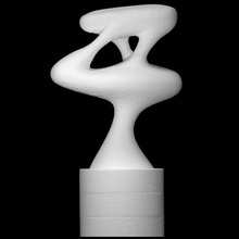 amapola scansione geometrico astratto 3d print model - Mito3D