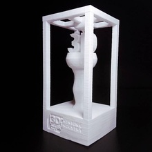 3d impressão troféu jardim 3dprint design 3dprintingindustryards 3dtrophy 3dawards jsalinas 3d print model - Mito3D