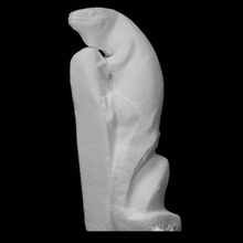 monitor lagarto Varredura animal corpo 3d print model - Mito3D