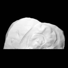 snail scan animal fullbody 3d print model - Mito3D