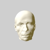 met marbre portrait matidia 3D print model - Mito3D