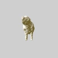 mouton musee d'histoire naturelle 3d print model - Mito3D