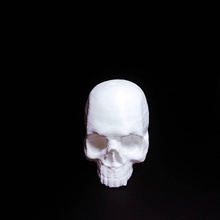 cráneo 3d educación impresión anatomía decorativo humano Impresión modelo impreso modelado 3D 3dart 3d print model - Mito3D