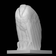 condor scan animal 3d print model - Mito3D