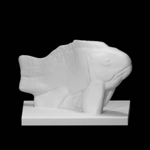 pez escanear animal granito 3d print model - Mito3D