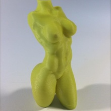 weiblich Torso Bewegung Bildung Anatomie Bildhauerei 3d print model - Mito3D