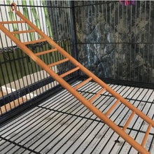 cage échelle jardin accessoires accessoire animal animaux oiseau cadeau makerbot compagnie jouet jouets rat Souris escaliers prusa domestiques planeur tinkercad perruche animalladder 3d print model - Mito3D